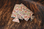 fowl play camo can cooler